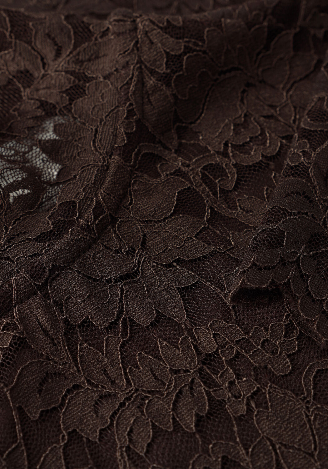 Pink Baby Celestine high-neck lace mini dress in chocolate brown, featuring intricate lace details and a stylish high neckline.