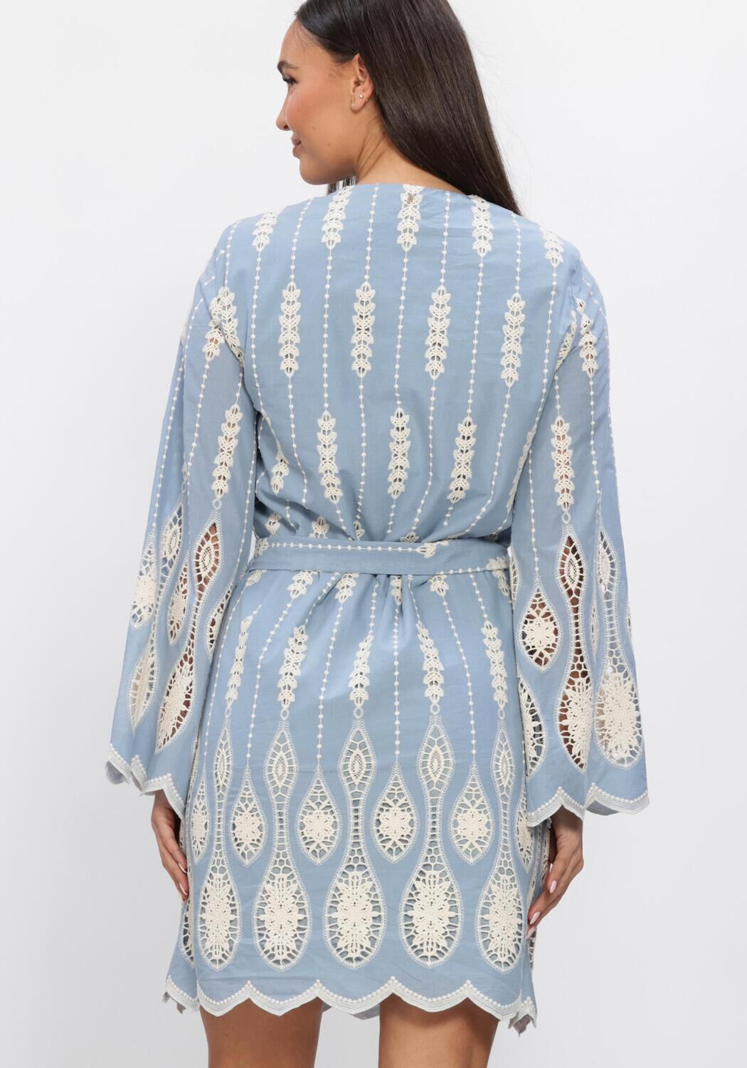 Sky blue Jona embroidered lace mini dress by Pink Baby, featuring intricate lace details and a stylish, elegant fit.