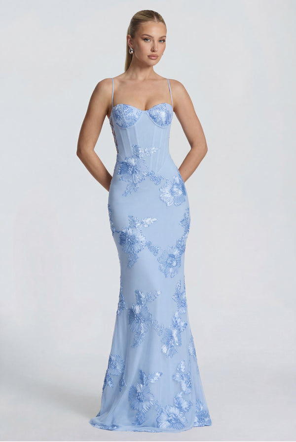 Aurelia Embroidered Maxi Dress Baby Blue